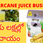 How to Start Sugarcane Juice Machine / Business Ideas in Telugu / Small Business Ideas / రోజుకు 3000 వరకు సంపాదించే చెరకు రసం బిజినెస్