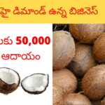How to Start  Coconut Business / టెంకాయల వ్యాపారం / Business Ideas in Telugu