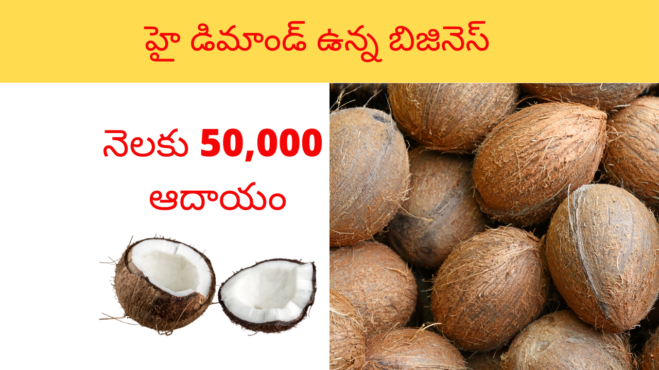 coconut business in telugu