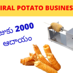New Low Investment Business Idea Spiral Potato Roll Making Business